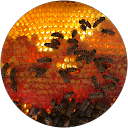 Kenny C profile picture